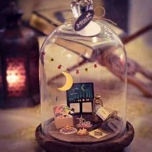 Meet your Posher, Mohamed